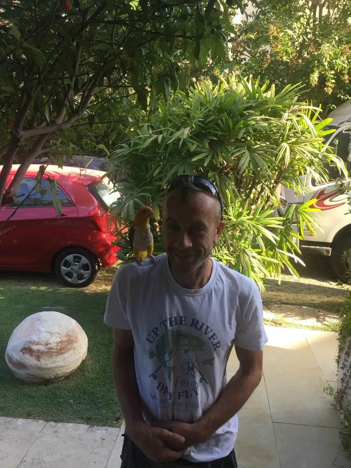 בעל העסק של קפלן הובלות